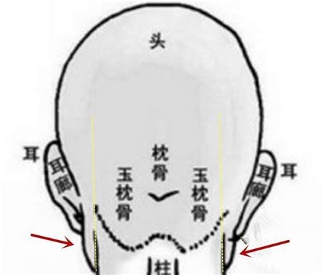 耳後見腮 面相|[面相秘诀]脑后反骨、耳后见腮的福与祸